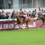 2012年凱旋門賞、パリロンシャン競馬場で日本馬オルフェーヴルがソレミアと並んで疾走する様子