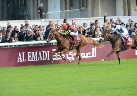 2012年凱旋門賞、パリロンシャン競馬場で日本馬オルフェーヴルがソレミアと並んで疾走する様子