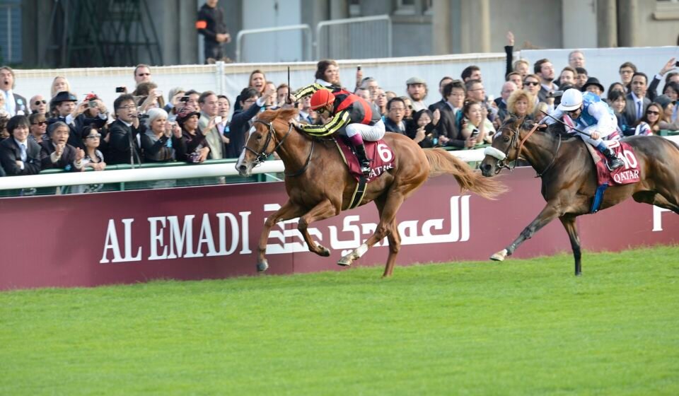 2012年凱旋門賞、パリロンシャン競馬場で日本馬オルフェーヴルがソレミアと並んで疾走する様子